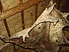 DSC05824.jpg